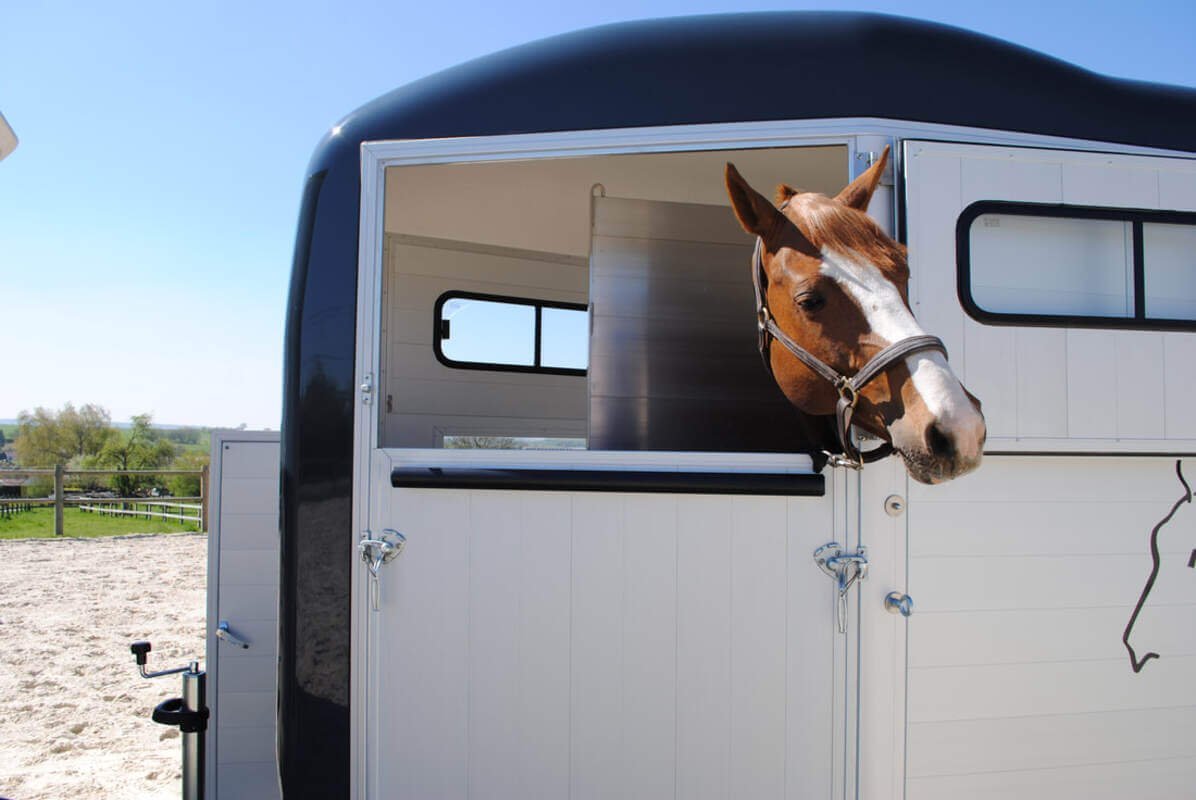 Remolque para 1 caballo y medio Touring One - Imagen 2