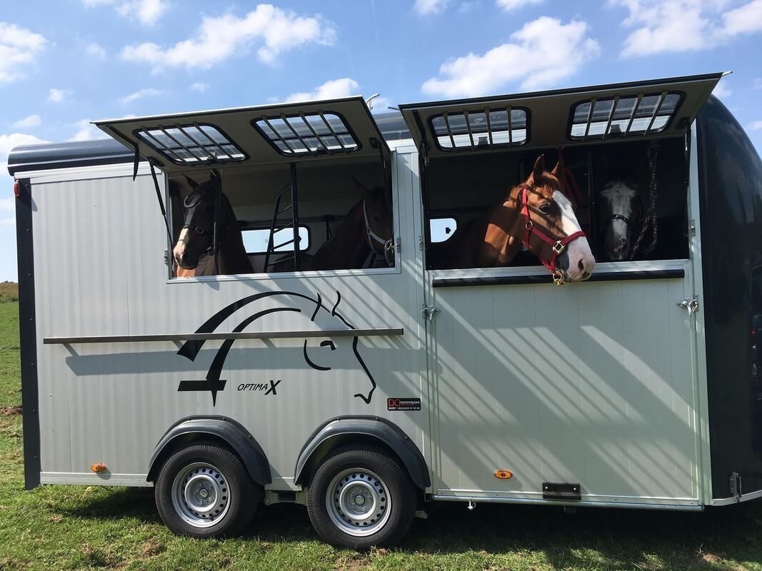 Remolque para 4 caballos Optimax - Imagen 3