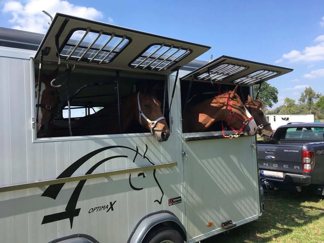 Remolque para 4 caballos Optimax - Imagen 4