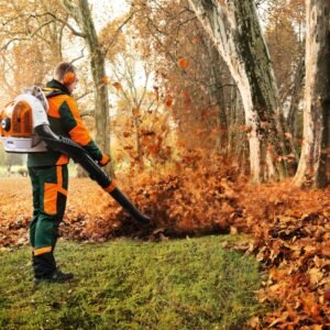 Soplador de mochila a gasolina BR 700
