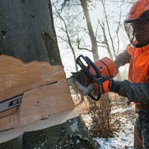 Alternative view of Motosierra de gasolina MS 661 C-M