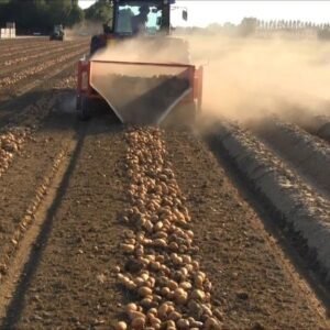 Alternative view of cosechadora de patatas y boniatos, etc. modelo pd – 1650 de 2 hileras con hileradores traseros y con equipamiento estandar